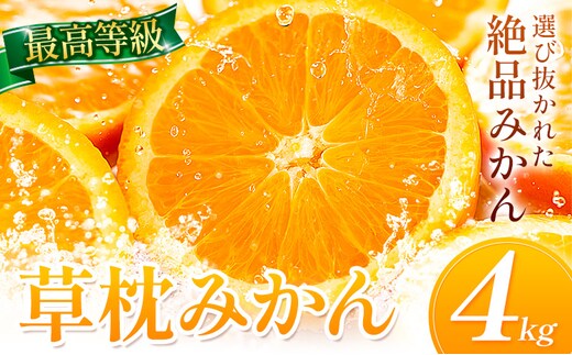 草枕みかん 約4kg 《11月上旬-12月上旬頃出荷》熊本県 玉名郡 玉東町 フルーツ 柑橘 みかん ミカン 草枕 デザート 送料無料 ---gk_ksm_ad11_r7_10000_4kg---