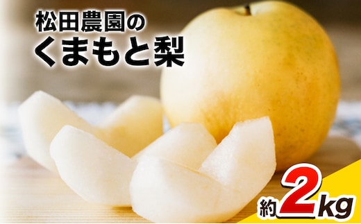 【先行予約】梨 期間限定 【日付指定不可】梨 『松田農園』の くまもと 梨 たっぷり 約2kg 5-7玉前後 《7月下旬-9月末頃出荷》 熊本県玉名郡玉東町『松田農園』なし 果物 スイーツ フルーツ デザート スムージー SDG`s---sg_cmtdnasi_cf79_26_10000_2kg---