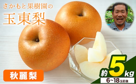 さかもと果樹園の玉東梨 秋麗梨 約5kg (6玉-18玉前後) 《8月中旬-8月下旬頃出荷》【日付指定不可】 熊本県玉名郡玉東町 梨 なし 果物 フルーツ 秋麗---sg_csksyurei_b8_r8_15500_5kg---