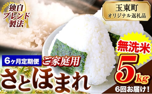 【6ヶ月定期便】熊本県産 さとほまれ 無洗米 ご家庭用 定期便 5kg 《お申込み翌月から出荷》熊本県 玉名郡 玉東町 米 こめ コメ ブレンド米 送料無料---gkt_sthmltei_5kg_63000_mo6---