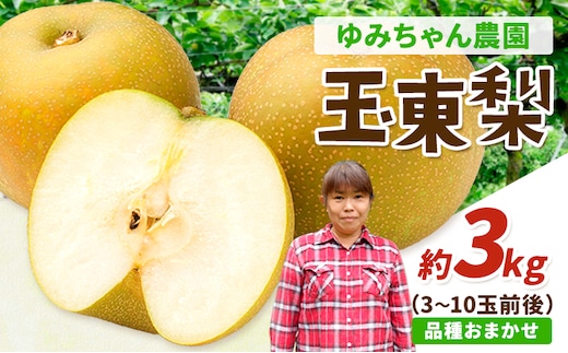 旬の梨 フルーツ 豊水 あきづき 甘太 新高 ゆみちゃん農園の玉東梨 約3kg 熊本県玉名郡玉東町 梨 なし 果物 フルーツ《2026年8月下旬-10月上旬頃出荷》---sg_cyuminashi_l810_r8_12500_3kg---