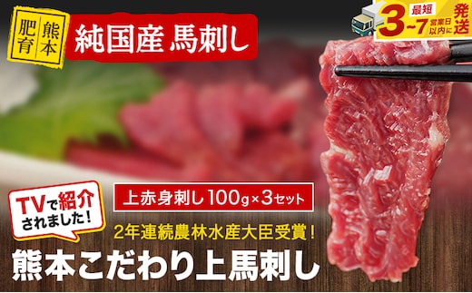 馬刺し 上赤身 ブロック 国産 熊本肥育 冷凍 生食用 たれ付き(10ml×3袋) 100g×3セット 肉 絶品 馬肉 平成27年28年 農林水産大臣賞受賞 熊本県玉東町《3-7日以内に出荷予定(土日祝除く)》送料無料 訳あり 定期便 でない---gkt_fkgakm_u_r8_11000_300gt---