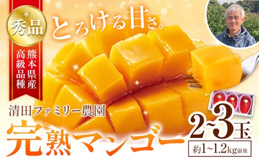くまもと完熟マンゴー 2～3玉(約1kg～1.2kg前後) 熊本県玉名郡玉東町『清田ファミリー農園』マンゴー 完熟 秀品 フルーツ【日付指定不可】《5月下旬-8月末頃より順次出荷》---gkt_kyfm_2_1kg---