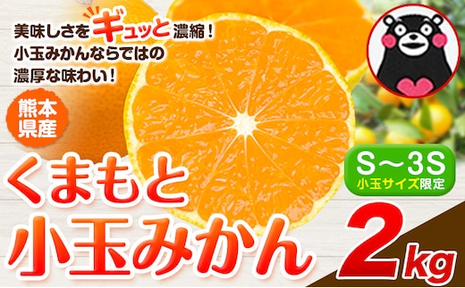訳あり みかん 小玉みかん くまもと小玉みかん 2kg 秋 旬 不揃い 傷 ご家庭用 SDGs 小玉 たっぷり 熊本県 産 S-3Sサイズ フルーツ 旬 柑橘 熊本県産 温州みかん《9月下旬-12月下旬頃出荷》---gkt_lcl_772_2kg---