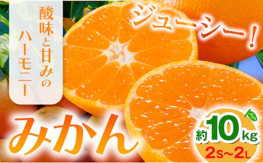 みかん 約10kg (2S-2Lサイズ) 金峰柑橘組合株式会社 ミカン 柑橘 フルーツ 旬 熊本県 玉名郡 玉東町 《10月中旬-1月中旬頃出荷》贈り物 果物 くだもの---sg_kpmkn_q101_25_25500_10kg---