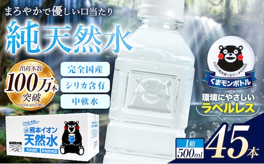 熊本イオン純天然水 ラベルレス 500ml×45本 《7-14日以内に出荷予定(土日祝除く)》 水 飲料水 ナチュラルミネラルウォーター 熊本県 玉名郡 玉東町 完全国産 天然水---gkt_lcl_733_45h---