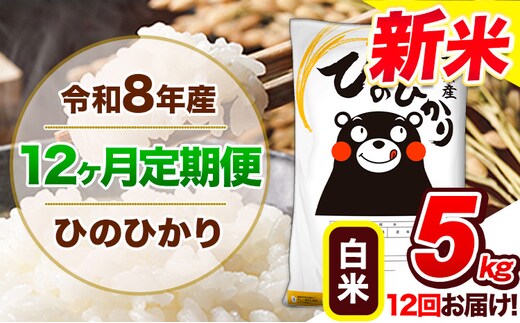 【12ヶ月定期便】令和8年産 新米 定期便 ひのひかり 5kg 《12月から出荷開始》令和8年産 新米 熊本県産 ふるさと納税 白米 精米 ひの 米 こめ ふるさとのうぜい ヒノヒカリ コメ 熊本米 ---gkt_lcl_817_dec12---