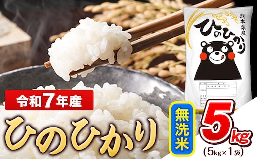 令和7年産 ひのひかり 無洗米 5kg (5kg×1袋)《3-7日以内に出荷予定(土日祝除く)》熊本県産 ひの 米 こめ ヒノヒカリ コメ お米 おこめ---gkt_lcl_708_5kg---