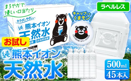 熊本イオン純天然水 ラベルレス 500ml×45本 《1-3日以内に出荷予定(土日祝除く)》 水 飲料水 ナチュラルミネラルウォーター 熊本県 玉名郡 玉東町 完全国産 天然水---gkt_lcl_375_45h---
