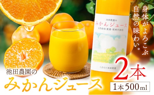 池田農園のみかんジュース 2本 1本500ml 池田農園《30日以内に出荷予定(土日祝除く)》熊本県 玉名郡 玉東町 みかんジュース みかん ミカン ジュース 自然栽培 栽培期間中農薬・肥料不使用---gkt_ikd_2_2h---