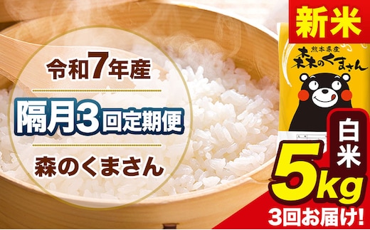 【隔月3回定期便】新米 令和7年産 白米 定期便 森のくまさん 5kg 《お申込み翌月から出荷》 熊本県産 単一原料米 森くま 熊本県 玉東町---mk7tei_34500_5kg_ev2mo3_gkt_h---