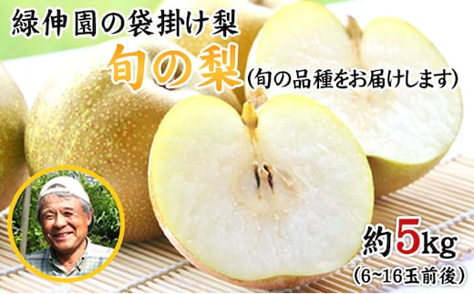 『緑伸園』旬の梨 旬の品種をお届けします！ たっぷり約5kg 6-16玉前後入り なし 果物 スイーツ フルーツ デザート スムージー 《8月中旬-9月下旬頃出荷》期間限定 予約受付中 熊本県玉名郡玉東町産 豊水梨 秋麗梨 あきづき 甘太 新高梨---gkt_rke_2_5kg---