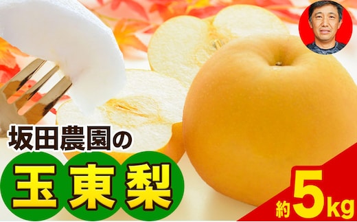 『坂田農園』の玉東梨 あきづき なし 期間限定 予約受付中 約5kg 熊本県玉名郡玉東町産『坂田農園』果物 スイーツ フルーツ デザート スムージー 熊本県玉東町《8月中旬-9月末頃より順次出荷》---gkt_skt_2_5kg---