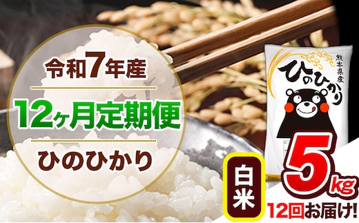 【12ヶ月定期便】令和7年産 定期便 ひのひかり 5kg 《お申込み翌月から出荷》令和7年産 熊本県産 ふるさと納税 白米 精米 ひの 米 こめ ふるさとのうぜい ヒノヒカリ コメ 熊本米 ひのもり---hn7tei_132000_5kg_mo12_gkt_h---