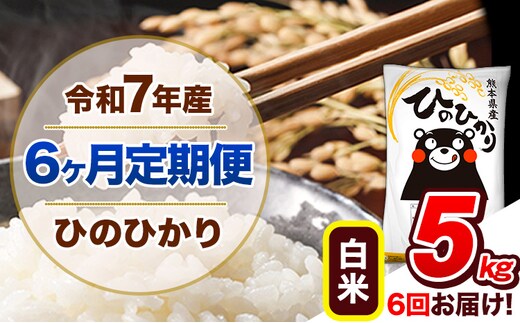 【6ヶ月定期便】令和7年産 定期便 ひのひかり 5kg 《お申込み翌月から出荷》令和7年産 熊本県産 ふるさと納税 白米 精米 ひの 米 こめ ふるさとのうぜい ヒノヒカリ コメ 熊本米 ひのもり---hn7tei_66000_5kg_mo6_gkt_h---