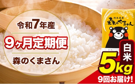 【9ヶ月定期便】令和7年産 白米 定期便 森のくまさん 5kg 森くま 《お申込み翌月から出荷》熊本県産 単一原料米 森くま 熊本県 玉東町---mk7tei_103500_5kg_mo9_gkt_h---