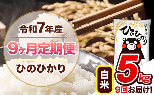 【9ヶ月定期便】令和7年産 白米 定期便 ひのひかり 5kg 《お申込み翌月から出荷》熊本県産 ふるさと納税 白米 精米 ひの 米 こめ ふるさとのうぜい ヒノヒカリ コメ 熊本米 ひのもり---hn7tei_103500_5kg_mo9_gkt_h---