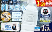 熊本イオン純天然水 ラベルレス 500ml×45本 《1-3日以内に出荷予定(土日祝除く)》 水 飲料水 ナチュラルミネラルウォーター 熊本県 玉名郡 玉東町 完全国産 天然水---gkt_lcl_487_45h---