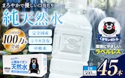 熊本イオン純天然水 ラベルレス 500ml×45本 《7-14日以内に出荷予定(土日祝除く)》 水 飲料水 ナチュラルミネラルウォーター 熊本県 玉名郡 玉東町 完全国産 天然水---gkt_lcl_733_45h---