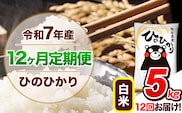 【12ヶ月定期便】令和7年産 定期便 ひのひかり 5kg 《お申込み翌月から出荷》令和7年産 熊本県産 ふるさと納税 白米 精米 ひの 米 こめ ふるさとのうぜい ヒノヒカリ コメ 熊本米 ひのもり---gkt_lcl_521_mo12---