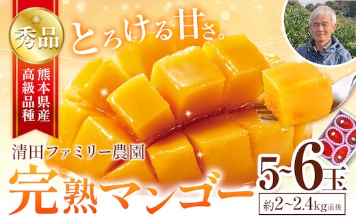くまもと完熟マンゴー 5～6玉(約2kg～2.4kg前後) 熊本県玉名郡玉東町『清田ファミリー農園』マンゴー 完熟 秀品 フルーツ【日付指定不可】《5月下旬-8月末頃より順次出荷》---gkt_kyfm_3_2kg---