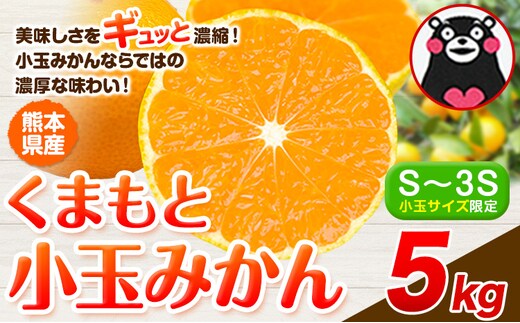 訳あり みかん 小玉みかん くまもと小玉みかん 5kg 秋 旬 不揃い 傷 ご家庭用 SDGs 小玉 たっぷり 熊本県 産 S-3Sサイズ フルーツ 旬 柑橘 熊本県産 温州みかん《9月下旬-12月下旬頃出荷》---gkt_lcl_773_5kg---