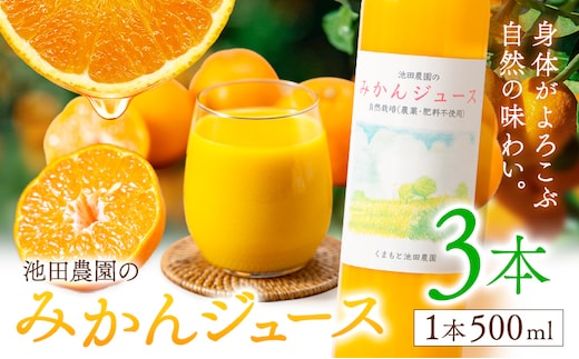 池田農園のみかんジュース 3本 1本500ml 池田農園《30日以内に出荷予定(土日祝除く)》熊本県 玉名郡 玉東町 みかんジュース みかん ミカン ジュース 自然栽培 栽培期間中農薬・肥料不使用---gkt_ikd_3_3h---