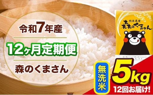 令和7年産 森のくまさん【12ヶ月定期便】 無洗米 《お申込み翌月から出荷》5kg(5kg×1袋) 計12回お届け 熊本県産 単一原料米 森くま 熊本県 玉東町---mk7tei_132000_5kg_mo12_gkt_m---