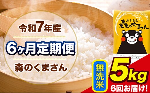 令和7年産 森のくまさん【6ヶ月定期便】無洗米 《お申込み翌月から出荷》5kg(5kg×1袋) 計6回お届け 熊本県産 単一原料米 森くま 熊本県 玉東町---mk7tei_66000_5kg_mo6_gkt_m---
