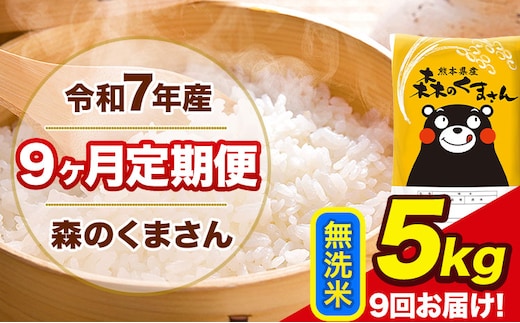 【9ヶ月定期便】令和7年産 無洗米 定期便 森のくまさん 5kg 森くま 《お申込み翌月から出荷》熊本県産 単一原料米 森くま 熊本県 玉東町---mk7tei_103500_5kg_mo9_gkt_m---
