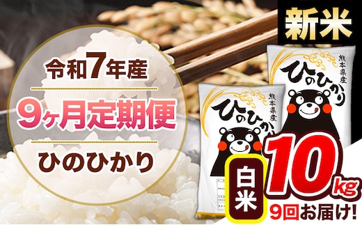 【9ヶ月定期便】新米 令和7年産 白米 定期便 ひのひかり 10kg 《お申込み翌月から出荷》熊本県産 ふるさと納税 白米 精米 ひの 米 こめ ふるさとのうぜい ヒノヒカリ コメ 熊本米 ひのもり---hn7tei_207000_10kg_mo9_gkt_h---