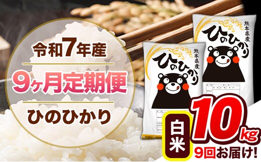 【9ヶ月定期便】令和7年産 白米 定期便 ひのひかり 10kg 《お申込み翌月から出荷》熊本県産 ふるさと納税 白米 精米 ひの 米 こめ ふるさとのうぜい ヒノヒカリ コメ 熊本米 ひのもり---hn7tei_207000_10kg_mo9_gkt_h---