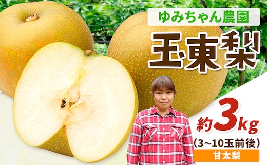 ゆみちゃん農園の玉東梨 甘太梨 約3kg(約3-10玉前後) 熊本県玉名郡玉東町 梨 なし 果物 フルーツ《2026年8月下旬-10月上旬頃出荷》豊水 あきづき 甘太 新高---sg_cyumikanta_l810_r8_13000_3kg---