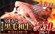 くまもと黒毛和牛 サーロインステーキ 750g (250g×3枚) 牛肉 冷凍 《30日以内に出荷予定(土日祝除く)》 くまもと黒毛和牛 黒毛和牛 冷凍庫 個別 取分け 小分け 個包装 ステーキ肉 にも サーロインステーキ---gkt_fsaro_30d_r8_21000_750g---