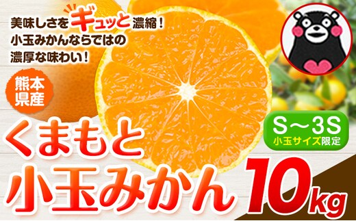 訳あり みかん 小玉みかん くまもと小玉みかん 10kg 秋 旬 不揃い 傷 ご家庭用 SDGs 小玉 たっぷり 熊本県 産 S-3Sサイズ フルーツ 旬 柑橘 熊本県産 温州みかん《9月下旬-12月下旬頃出荷》---gkt_lcl_774_10kg---
