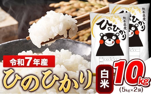 令和7年産 ひのひかり 白米 10kg (5kg×2袋)《7-14日以内に出荷予定(土日祝除く)》熊本県産 ひの 白米 精米 米 こめ ヒノヒカリ コメ お米 おこめ---gkt_lcl_709_10kg---
