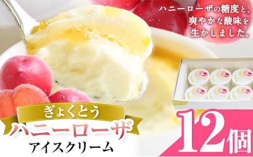糖度17度の甘さ♪ハニーローザアイスクリーム 120ml 12個 熊本県 玉名郡 玉東町 すもも ハニーローザ アイス ぷらっとぎょくとう《60日以内に出荷予定(土日祝除く)》---gkt_prt_14_12k---