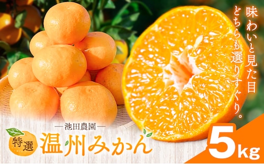 特選 温州みかん 5kg 池田農園《11月上旬-12月末頃出荷》熊本県 玉名郡 玉東町 みかん ミカン 柑橘 フルーツ 果物 自然栽培 栽培期間中農薬・肥料不使用---gkt_ikd_6_5kg---
