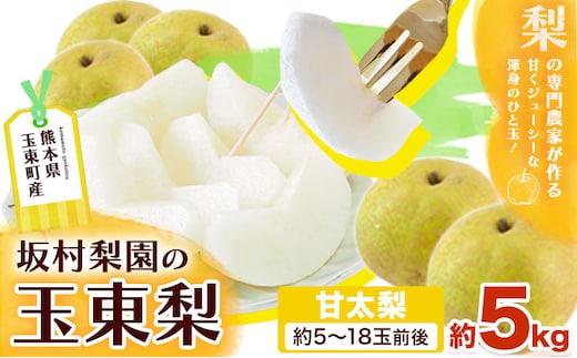 梨 なし 甘太梨 約5kg(5～18玉前後) 坂村梨園 《8月中旬-11月上旬頃出荷》熊本県 玉東町 秋 旬 梨 フルーツ 果物 期間限定---gkt_skmr_3_5kg---