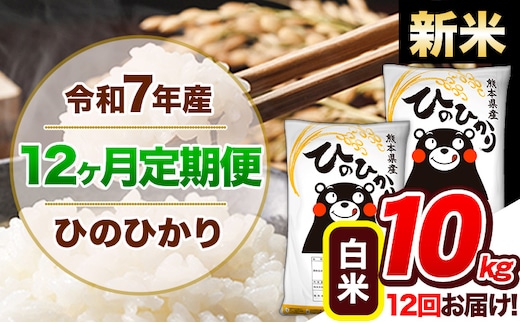 【12ヶ月定期便】令和7年産 新米 定期便 ひのひかり 10kg 《お申込み翌月から出荷》令和7年産 熊本県産 ふるさと納税 白米 精米 ひの 米 こめ ふるさとのうぜい ヒノヒカリ コメ 熊本米 ひのもり---hn7tei_294000_10kg_mo12_gkt_h---