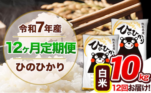 【12ヶ月定期便】令和7年産 定期便 ひのひかり 10kg 《お申込み翌月から出荷》令和7年産 熊本県産 ふるさと納税 白米 精米 ひの 米 こめ ふるさとのうぜい ヒノヒカリ コメ 熊本米 ひのもり---hn7tei_276000_10kg_mo12_gkt_h---