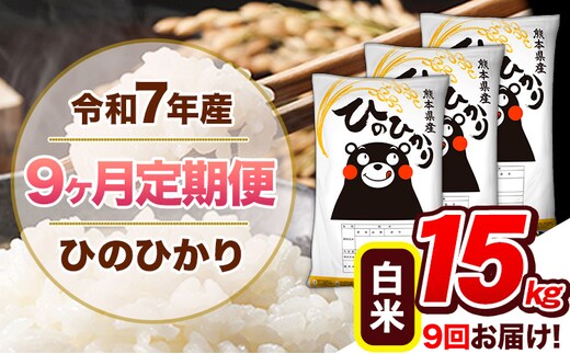 【9ヶ月定期便】令和7年産 白米 定期便 ひのひかり 15kg 《お申込み翌月から出荷》熊本県産 ふるさと納税 白米 精米 ひの 米 こめ ふるさとのうぜい ヒノヒカリ コメ 熊本米 ひのもり---hn7tei_310500_15kg_mo9_gkt_h---