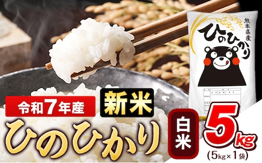 令和7年産 新米 ひのひかり 白米 5kg (5kg×1袋)《7-14日以内に出荷予定(土日祝除く)》熊本県産 ひの 白米 精米 米 こめ ヒノヒカリ コメ お米 おこめ---gkt_hn7_wx_11500_5kg_h---