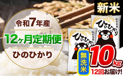 【12ヶ月定期便】令和7年産 新米 定期便 無洗米 ひのひかり 10kg 《お申込み翌月から出荷》令和7年産 熊本県産 ふるさと納税 精米 ひの 米 こめ ふるさとのうぜい ヒノヒカリ コメ 熊本米 ひのもり---hn7tei_294000_10kg_mo12_gkt_m---
