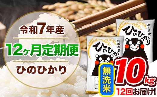 【12ヶ月定期便】令和7年産 定期便 無洗米 ひのひかり 10kg 《お申込み翌月から出荷》令和7年産 熊本県産 ふるさと納税 精米 ひの 米 こめ ふるさとのうぜい ヒノヒカリ コメ 熊本米 ひのもり---hn7tei_276000_10kg_mo12_gkt_m---