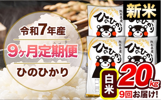 【9ヶ月定期便】新米 令和7年産 白米 定期便 ひのひかり 20kg 《お申込み翌月から出荷》熊本県産 ふるさと納税 白米 精米 ひの 米 こめ ふるさとのうぜい ヒノヒカリ コメ 熊本米 ひのもり---hn7tei_436500_20kg_mo9_gkt_h---