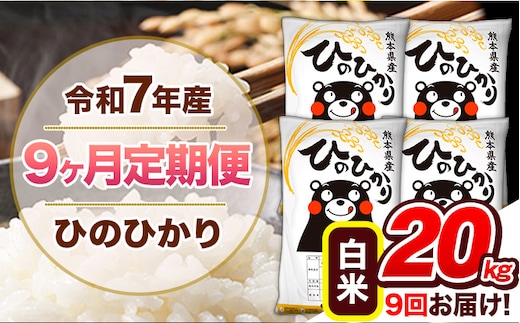 【9ヶ月定期便】令和7年産 白米 定期便 ひのひかり 20kg 《お申込み翌月から出荷》熊本県産 ふるさと納税 白米 精米 ひの 米 こめ ふるさとのうぜい ヒノヒカリ コメ 熊本米 ひのもり---hn7tei_414000_20kg_mo9_gkt_h---