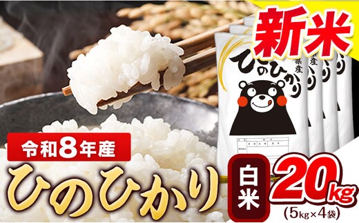 令和8年産 新米 ひのひかり 白米 20kg (5kg×4袋)《11月中旬-12月末頃出荷》熊本県産 ひの 白米 精米 米 こめ ヒノヒカリ コメ お米 おこめ---gkt_lcl_803_20kg---