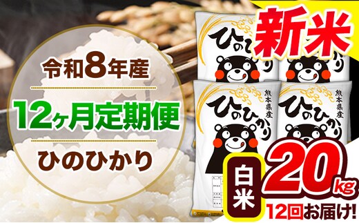 【12ヶ月定期便】令和8年産 新米 定期便 ひのひかり20kg 《12月から出荷開始》令和8年産 新米 熊本県産 ふるさと納税 白米 精米 ひの 米 こめ ふるさとのうぜい ヒノヒカリ コメ 熊本米 ---gkt_lcl_821_dec12---