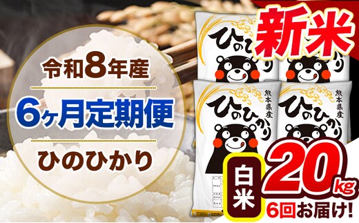 【6ヶ月定期便】令和8年産 新米 定期便 ひのひかり20kg 《12月から出荷開始》令和8年産 新米 熊本県産 ふるさと納税 白米 精米 ひの 米 こめ ふるさとのうぜい ヒノヒカリ コメ 熊本米 ---gkt_lcl_815_dec6---